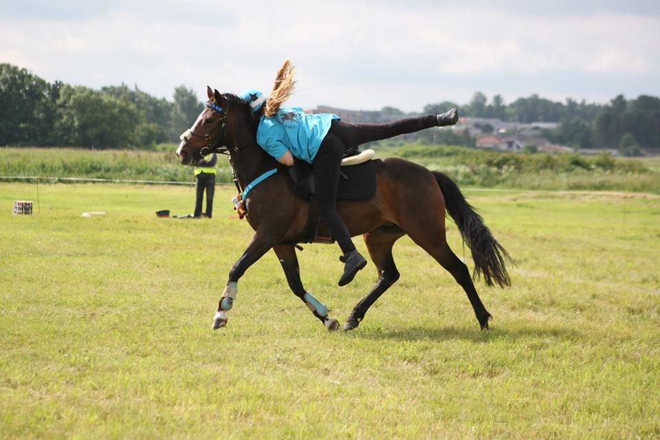 DSP Fredbo´s Idol billede 7