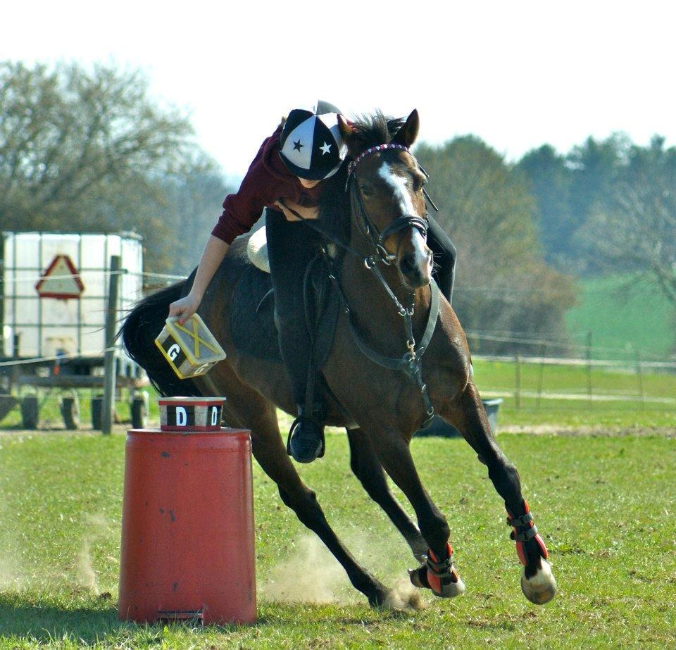 DSP Fredbo´s Idol billede 2