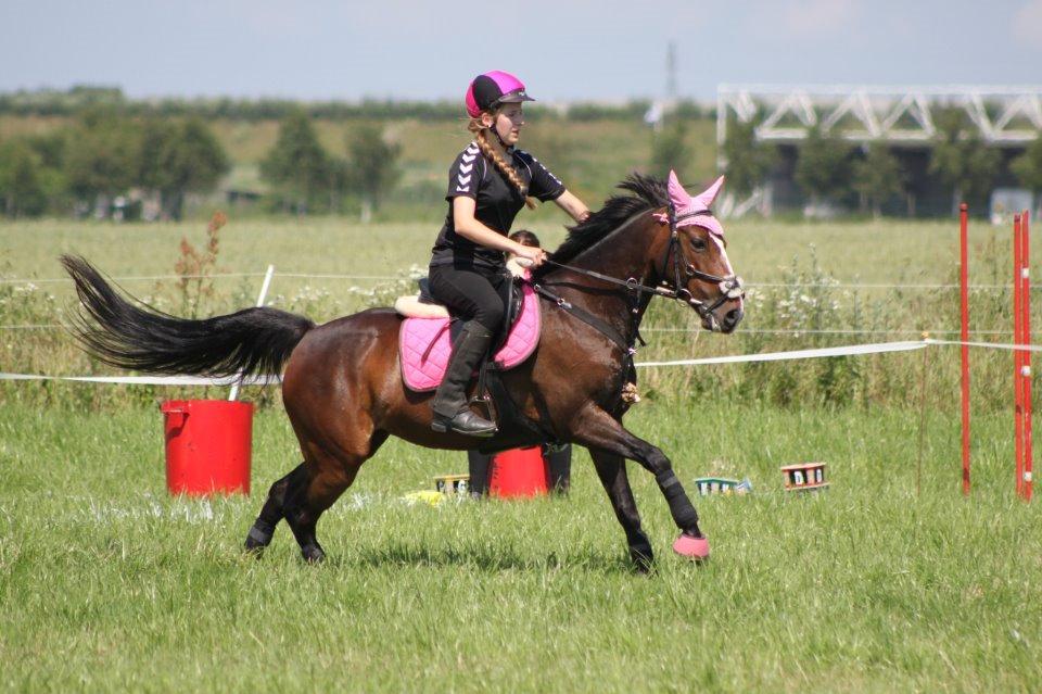 DSP Fredbo´s Idol billede 9