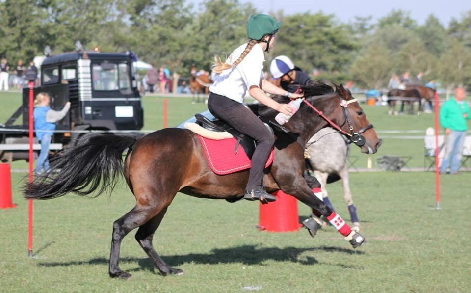 DSP Fredbo´s Idol billede 11