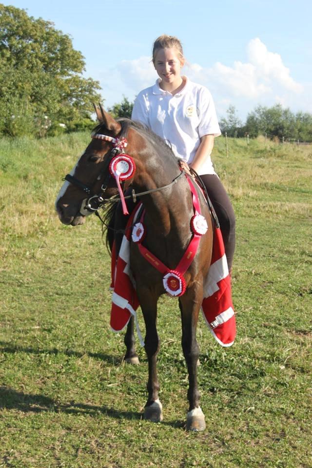 DSP Fredbo´s Idol billede 12