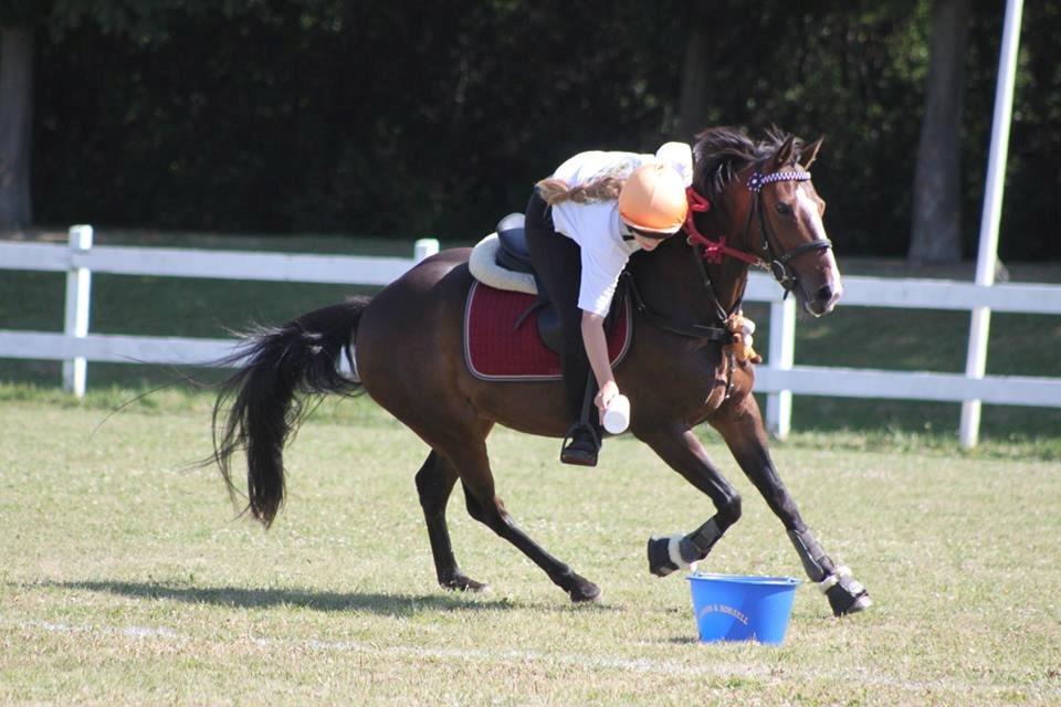 DSP Fredbo´s Idol billede 15