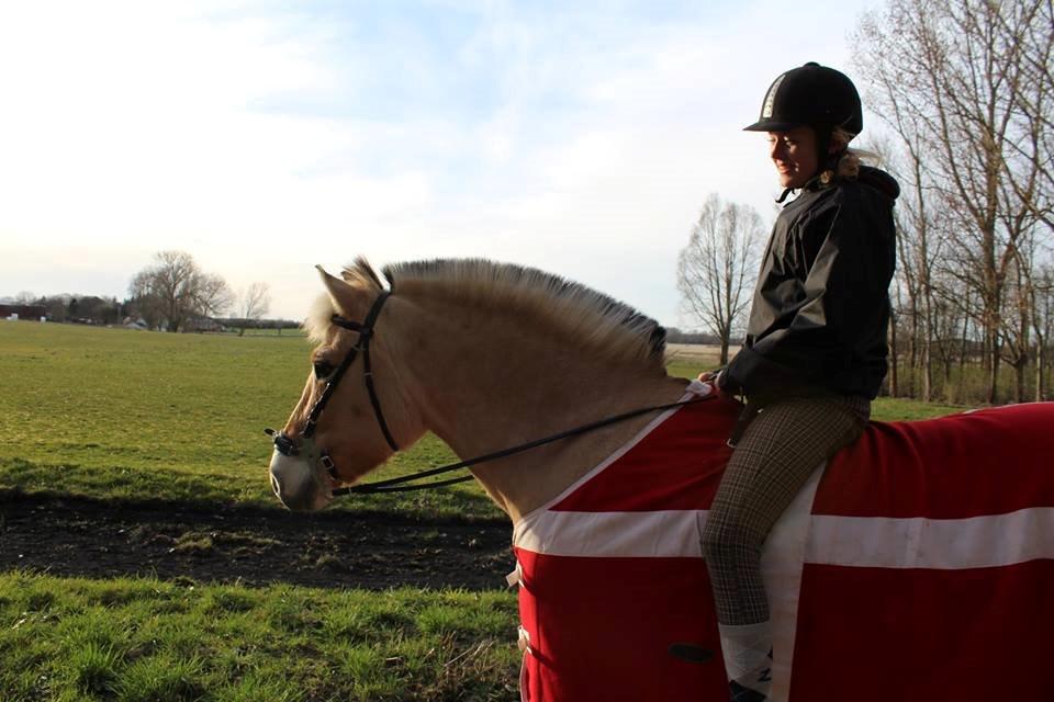 Fjordhest Sif (pony) ¤my soulmate¤ billede 31