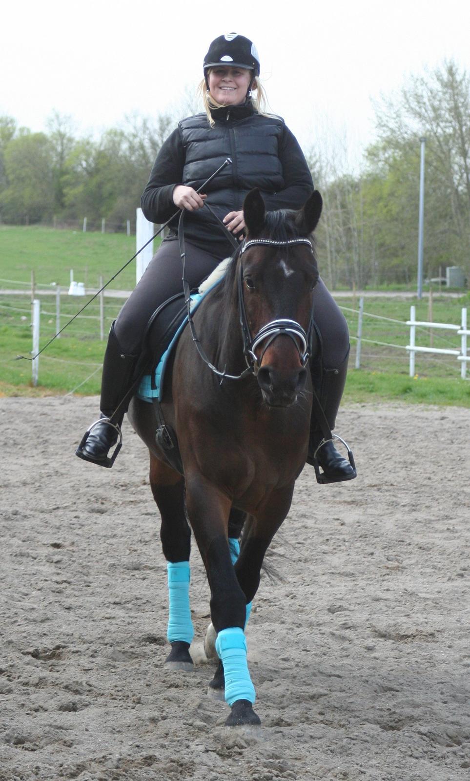 Oldenborg Cataco - Anden gang jeg rider ham billede 14