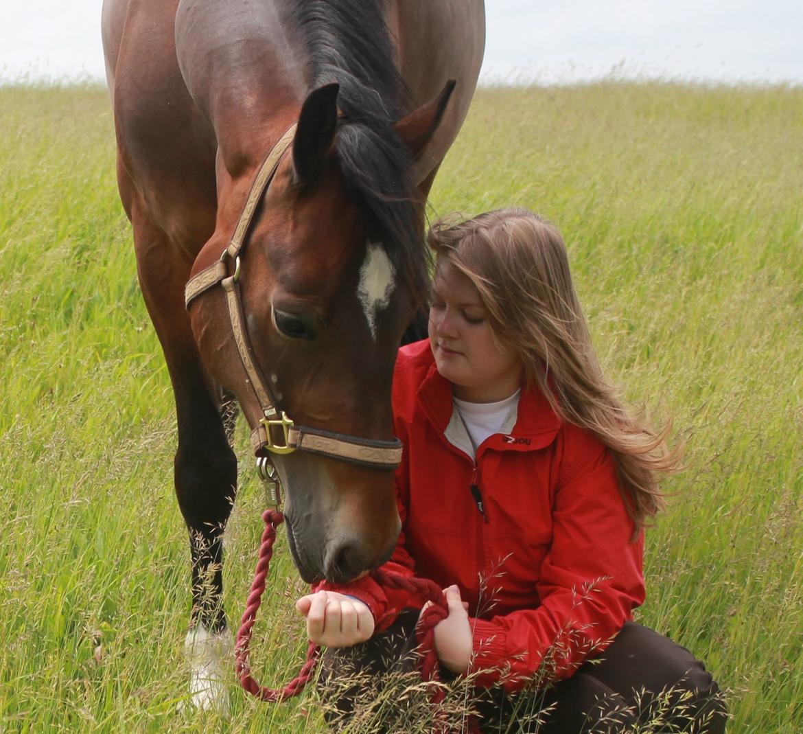 Welsh Cob (sec D) FRENDERUPGÅRDS AKITA - Højt elsket, dybt savnet.. forevigt og altid min engel ✝ billede 18