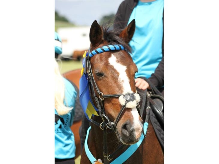 {{currentPhoto.altText}} billede {{currentPhoto.number}}