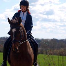 Oldenborg Sanddallunds Iroy