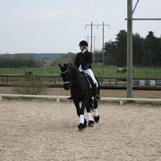 Frieser ~ Willov Terplinggaard ~