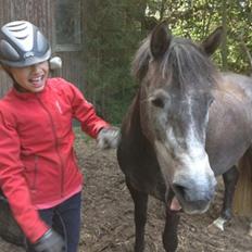 New Forest Toftgaards New Hope