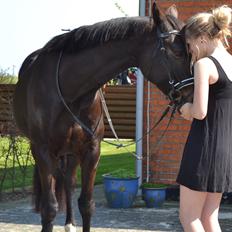 Anden særlig race Holtegårdens Splif <3