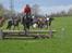 Dansk Varmblod Quendy - L