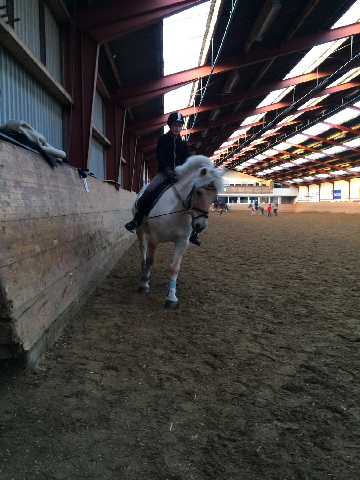 Anden særlig race Flint - Lige lidt galop! billede 2