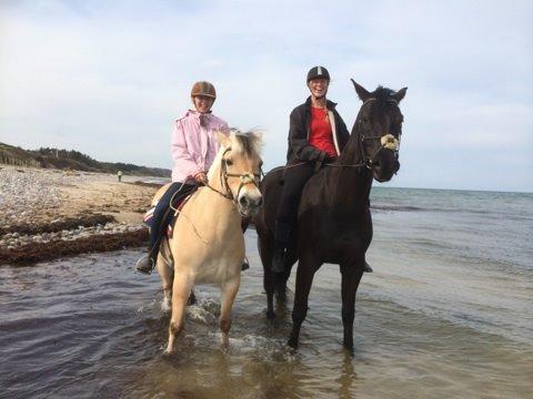 Oldenborg Masterpiece billede 3