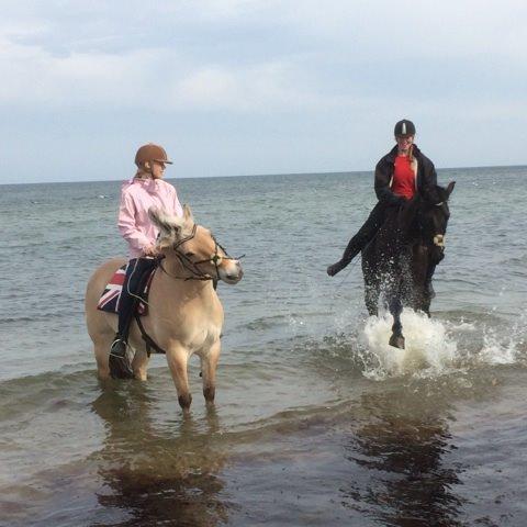 Oldenborg Masterpiece billede 11