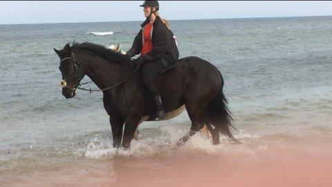 Oldenborg Masterpiece billede 13