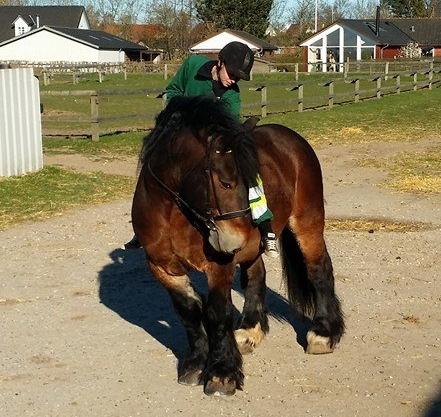 Belgier Bormosens Rollo - Du gør mig lykkelig hver eneste dag min dreng. Et liv uden dig er et liv unden intet billede 10