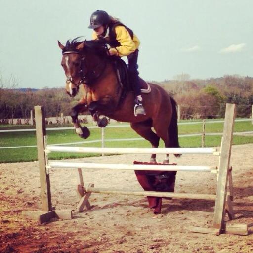 Anden særlig race Calvados  - Velkommen til hans profil :) Her springer vi 110 cm. <3 Stjerne pony <3 billede 1
