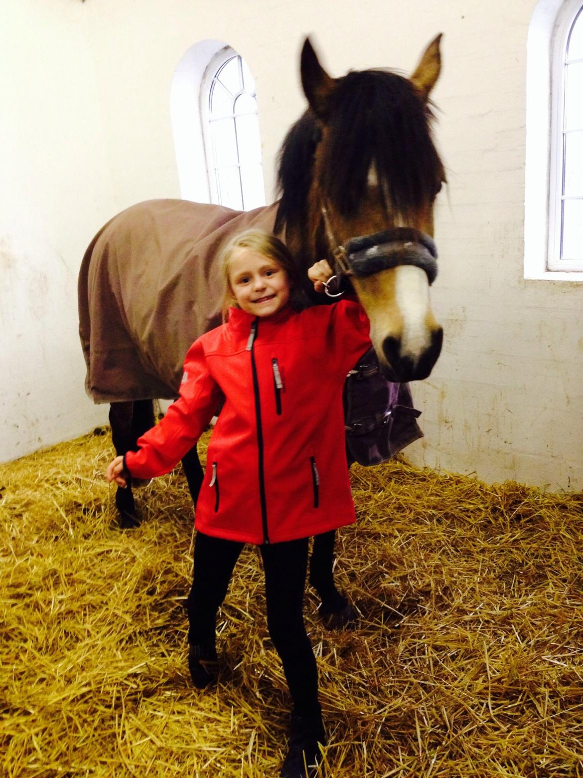 Anden særlig race Damgårds Maggie billede 9