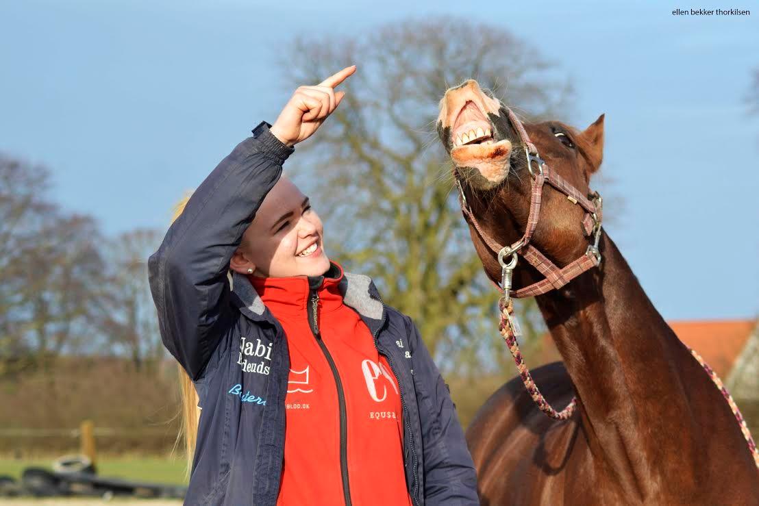 New Forest Tosca  - Min yndlings <3 Tosca, 1 årsdag <3 billede 4