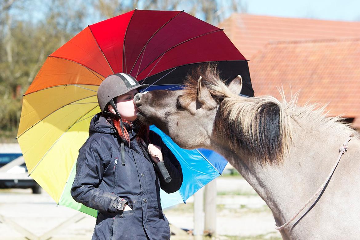 Anden særlig race Perle Soleil (Udlånt) - Kysser i skyggen <3 (Foto: Katja Møller Nielsen) billede 4