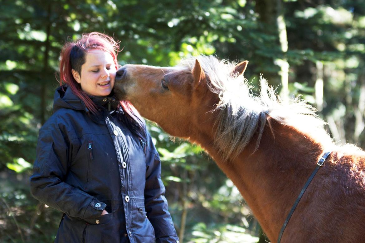 Anden særlig race Gry Soleil [Himmelhest] - Kys kys! (Billede: Katja Møller Nielsen) billede 15