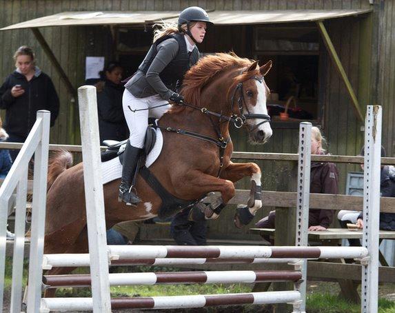 Hollandsk Sportspony Ferrari billede 3
