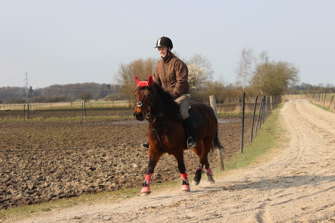 Anden særlig race charmer <3 billede 12