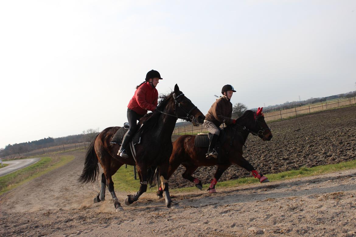 Anden særlig race charmer <3 billede 11