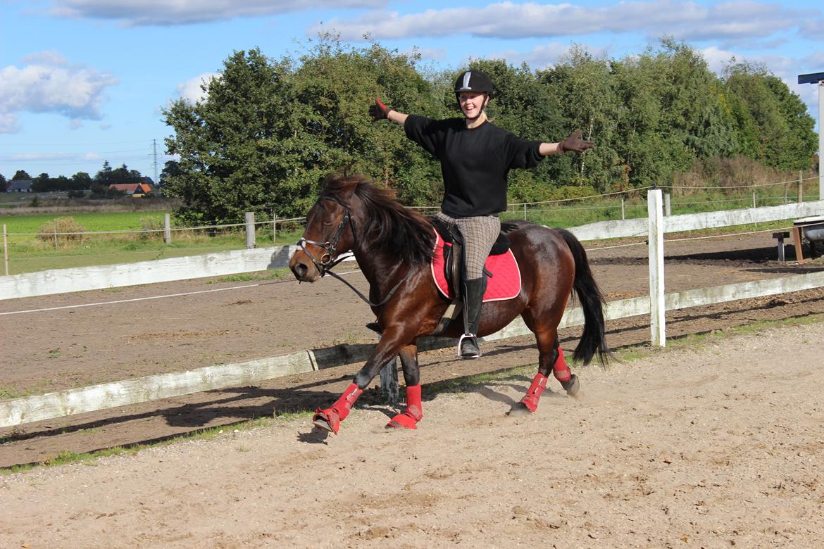 Anden særlig race charmer <3 billede 13