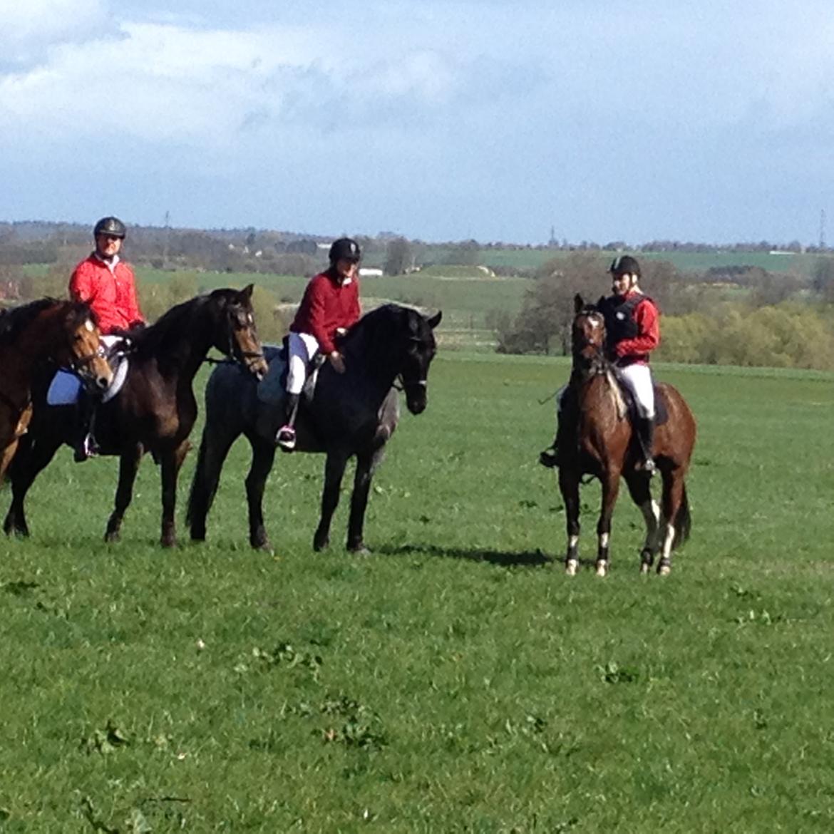 Amerikansk Paint Pony Our Treasure Maglite (Toby) - Vores første jagt på Ledreborg, 13/4-2014 billede 9