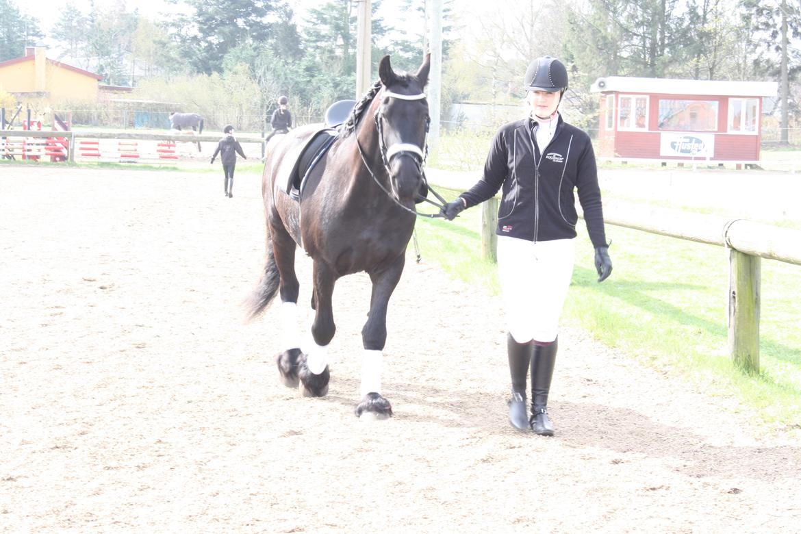 Frieser ~ Willov Terplinggaard ~ billede 3