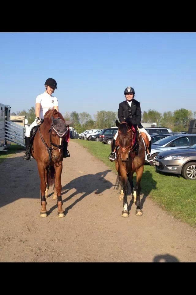Dansk Varmblod Capacity cherinn - Ida og jeg til stævne i Kolding billede 11