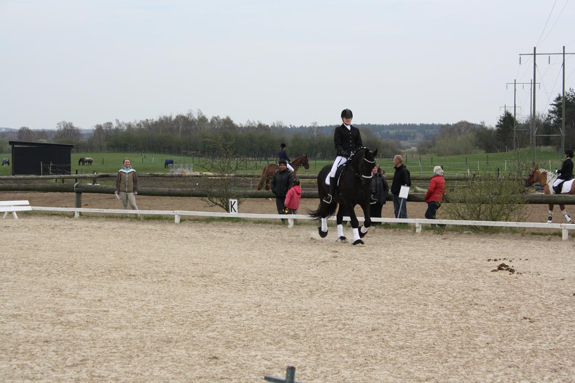 Frieser ~ Willov Terplinggaard ~ billede 19