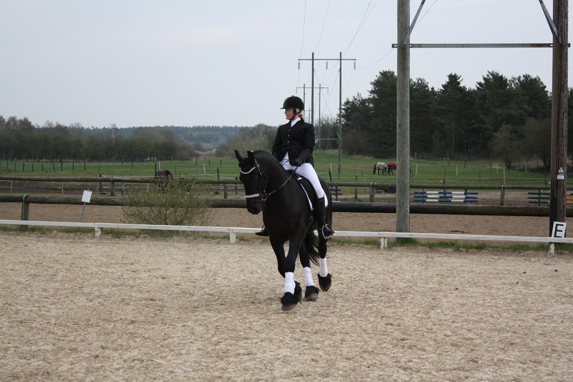 Frieser ~ Willov Terplinggaard ~ billede 2