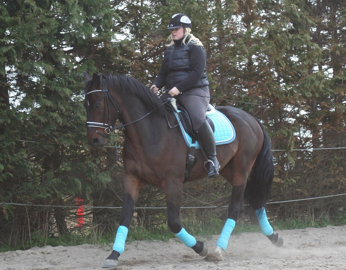 Oldenborg Cataco - anden gang jeg rider ham billede 11