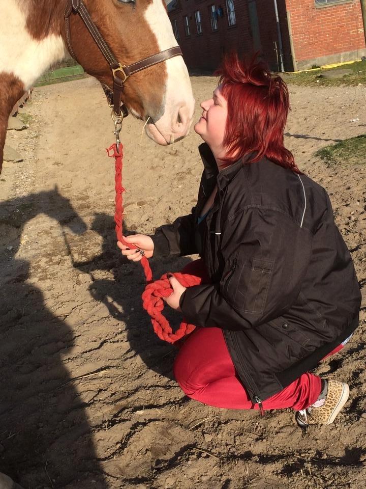 Pinto Captain Morgan billede 4