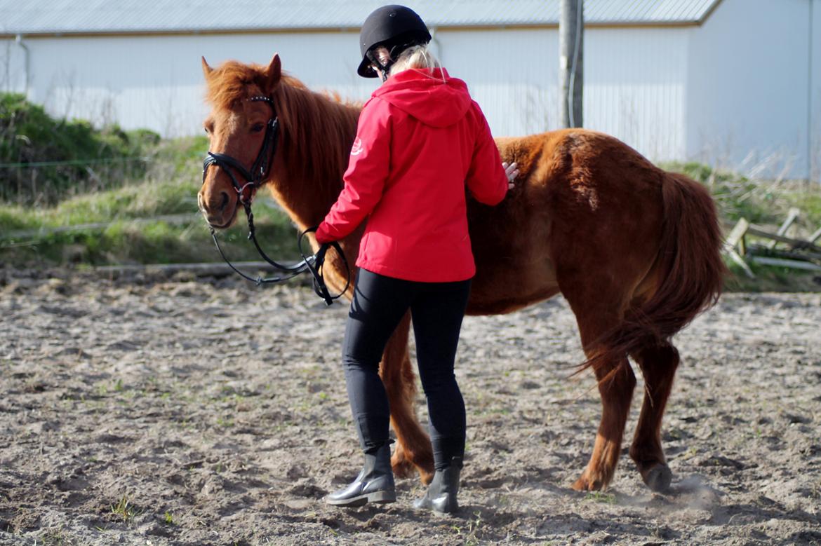 Anden særlig race Safia billede 16