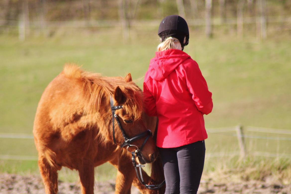 Anden særlig race Safia billede 7