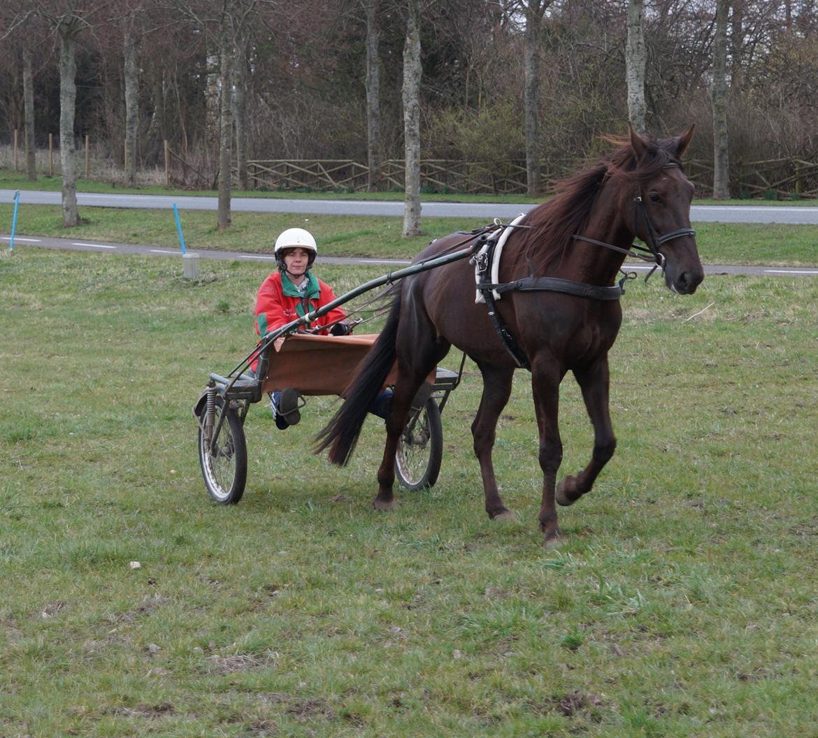 Traver Nu Nu Hill (s) - Nu Nu Hill og mig ud og køre den 22 marts 2014 billede 6