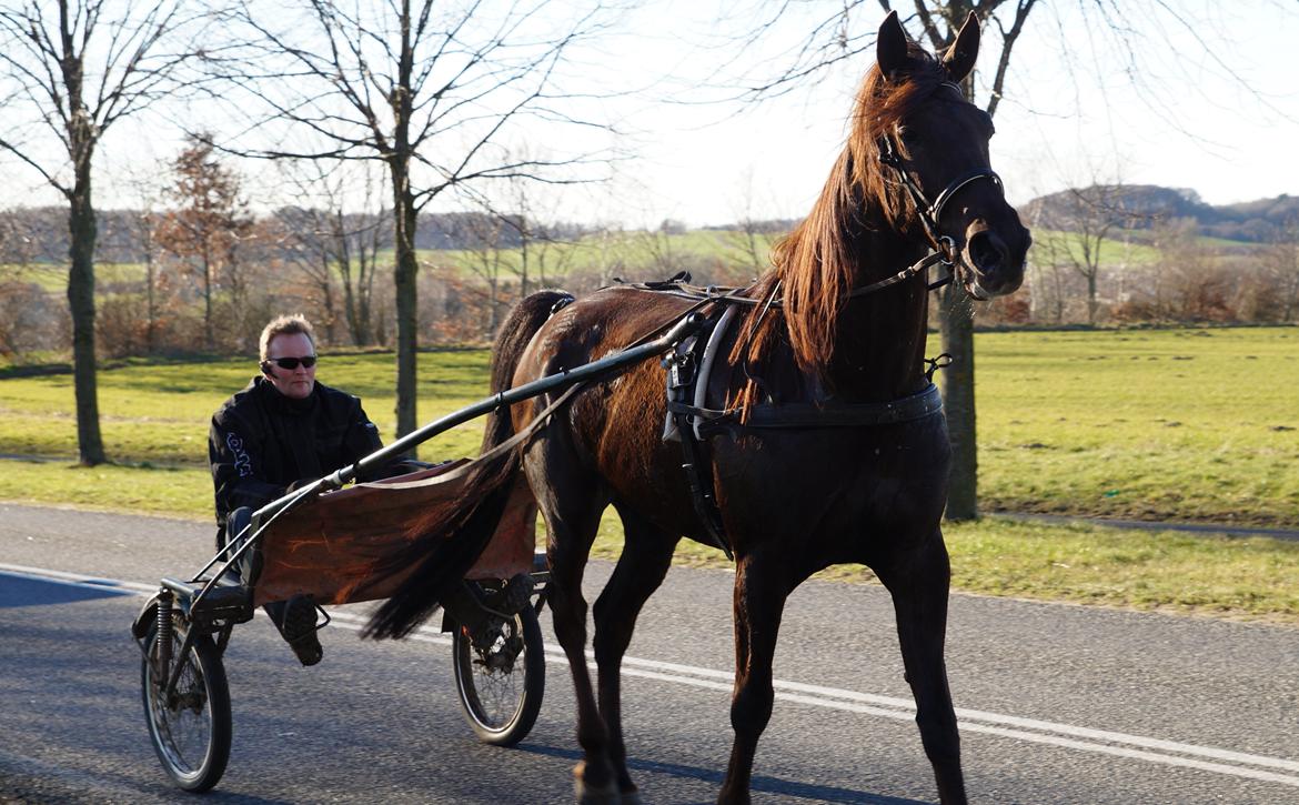 Traver Nu Nu Hill (s) - Nu Nu Hillog min mand den 11 marts 2014 billede 7