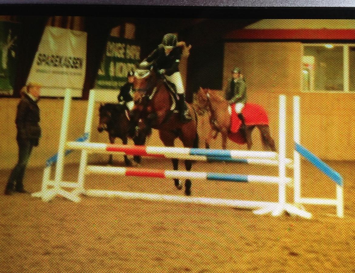 DSP Nikita billede 34