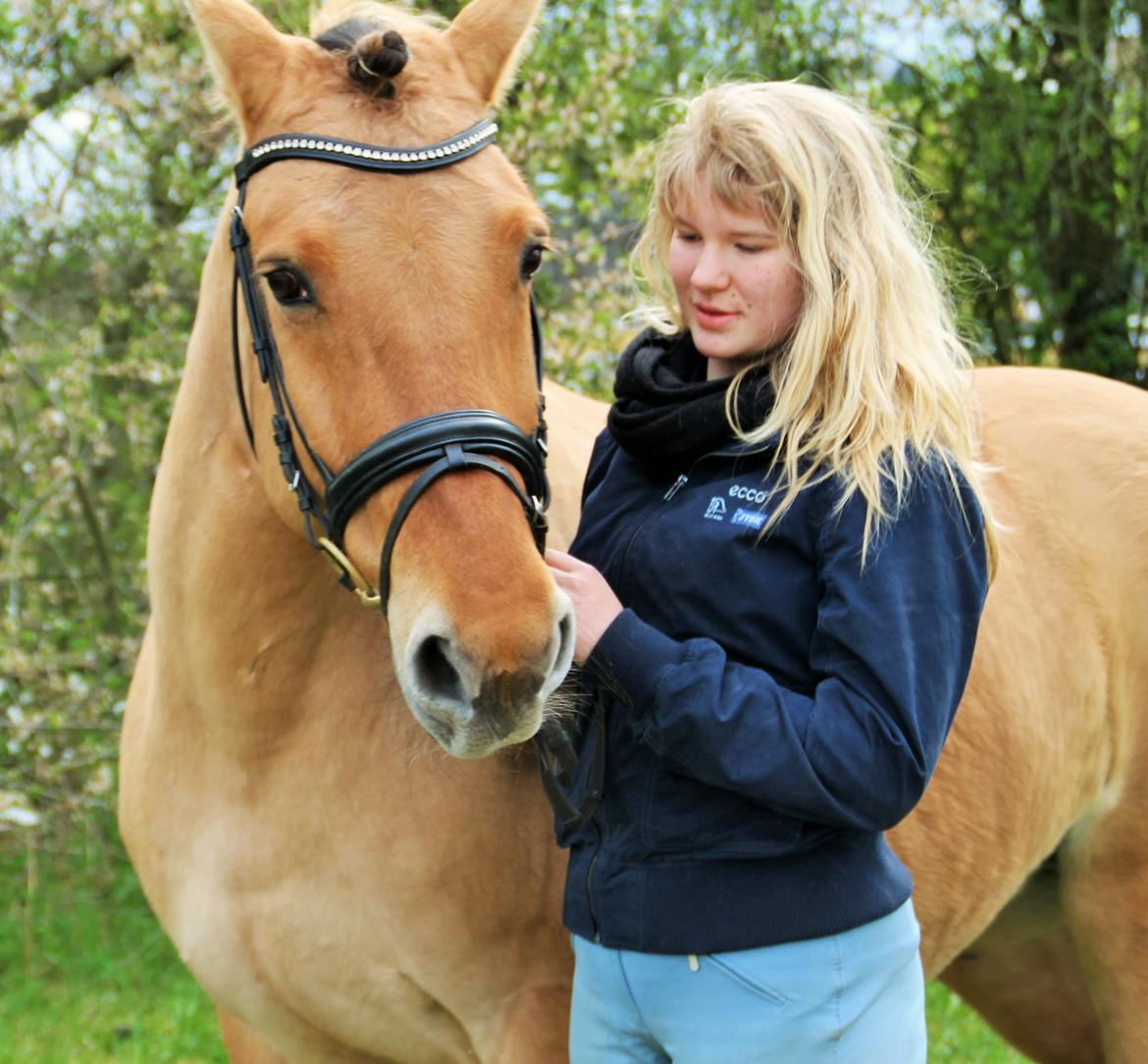 Anden særlig race Bamseline! <3 - Verdens sødeste hest <3 <br><br>Foto: Maria :-) billede 1