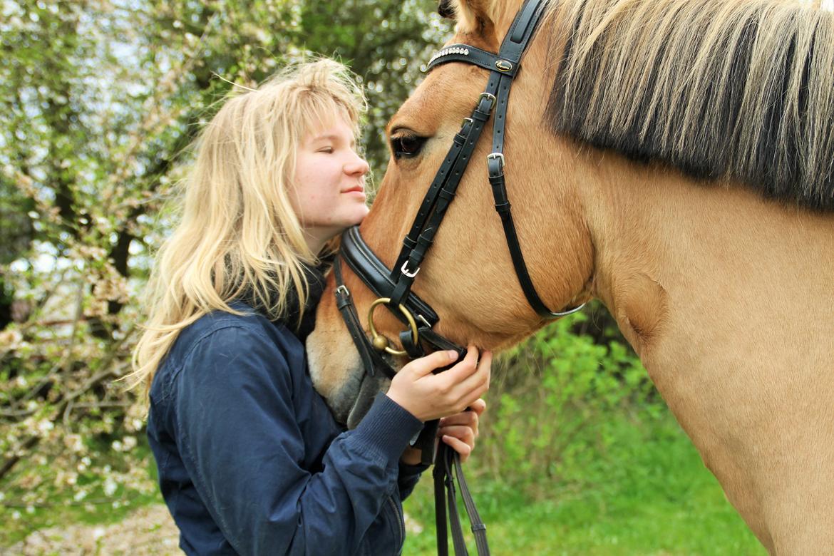 Anden særlig race Bamseline! <3 billede 14
