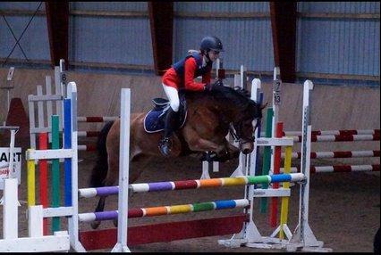 Welsh Cob (sec D) Rughavens Chivas billede 20