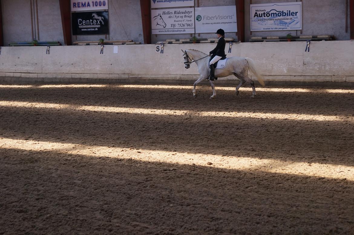 DSP Maluet billede 12
