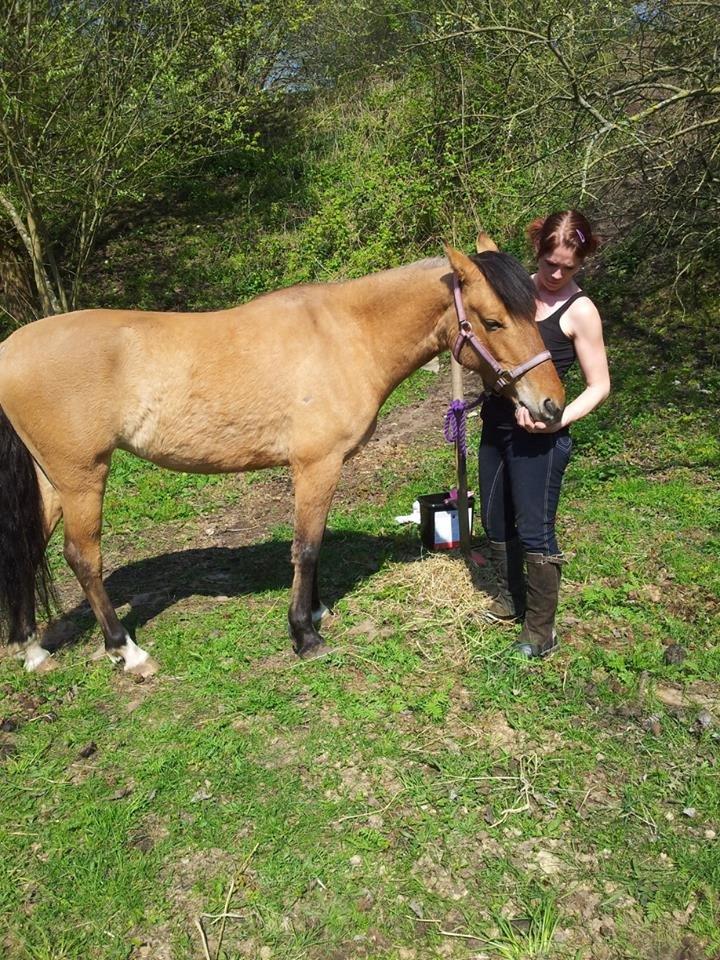 Anden særlig race Unica star billede 39