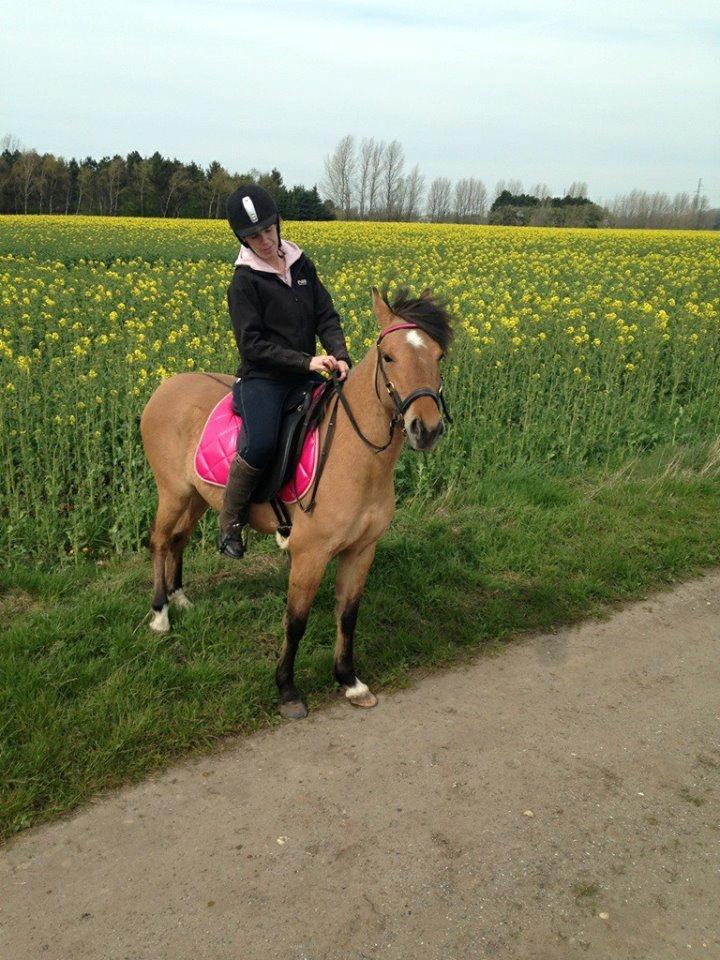 Anden særlig race Unica star billede 25