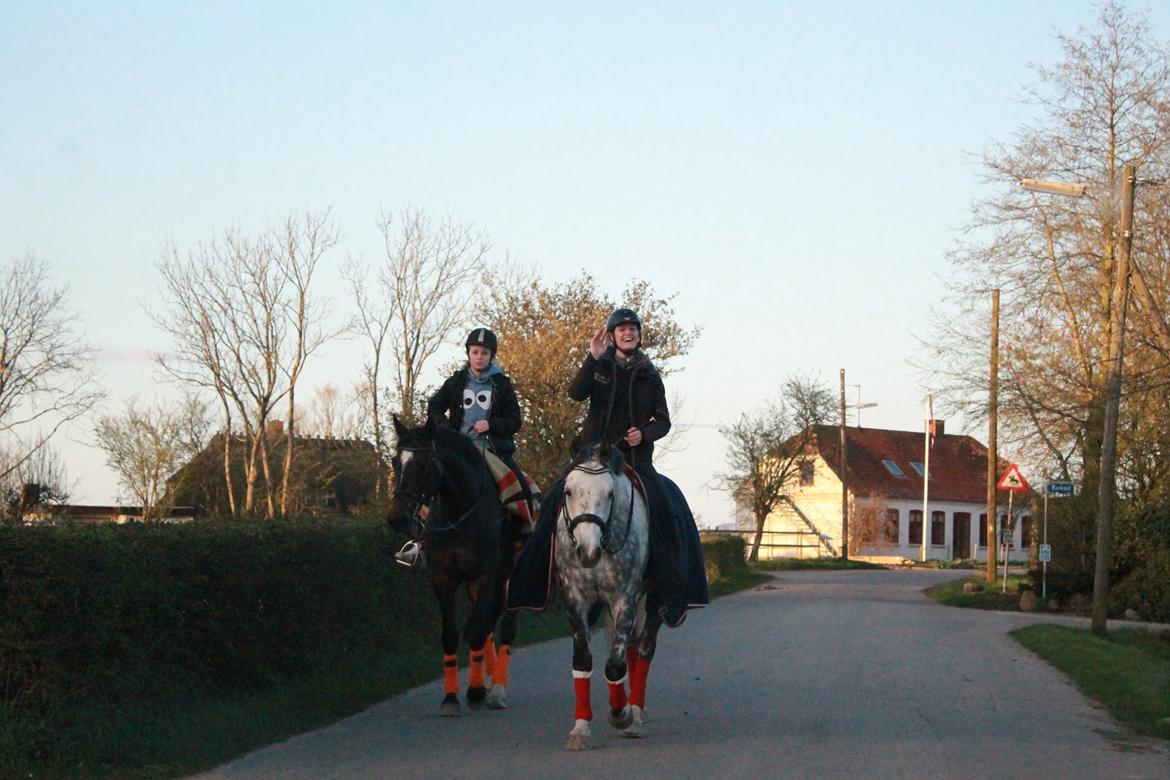 Anden særlig race Bech's Padraigh aka. Paddy :-) - Hej hej venner! Tak fordi I kiggede med :-) billede 20