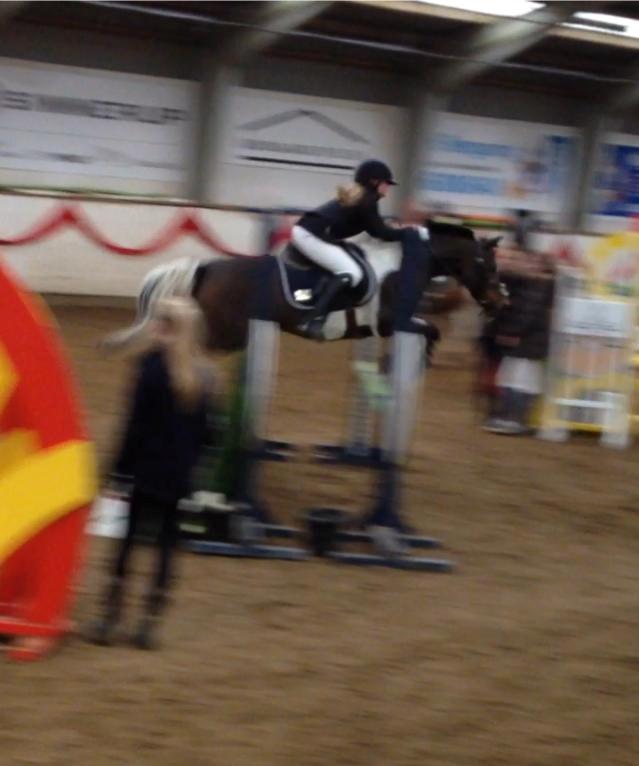 Pinto Spirit - LA i silkeborg<3 fuld fart<3<3 billede 11