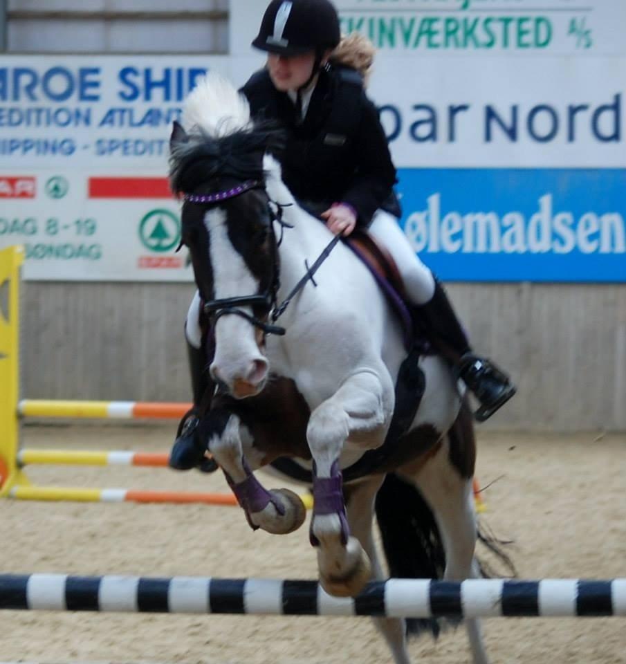 Pinto Lola- solgt- - HirtshalsRideklub! Dejlig pony jeg havde med!<3 billede 14